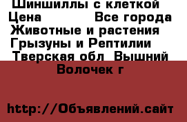 Шиншиллы с клеткой › Цена ­ 8 000 - Все города Животные и растения » Грызуны и Рептилии   . Тверская обл.,Вышний Волочек г.